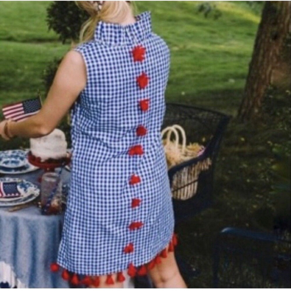 Elizabeth Wilson Dress Womens XL Blue White Gingham Red Tassels Ruffle Collar